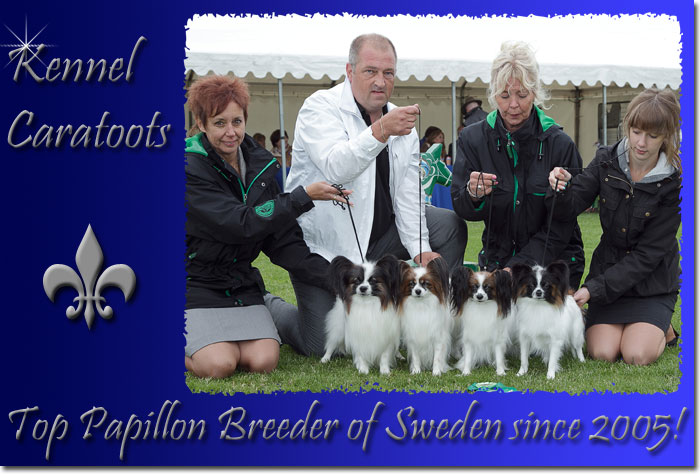 Caratoots Breeder group - Ch. Caratoots Complete Coronation, Ch. Caratoots Classic Confidence, Ch. Caratoots Certain Capability and Caratoots Certainly Champagne