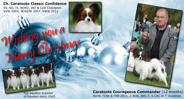 Ch. Caratoots Classic Confidence, Caratoots Courageous Commander and Caratoots Breeder Group