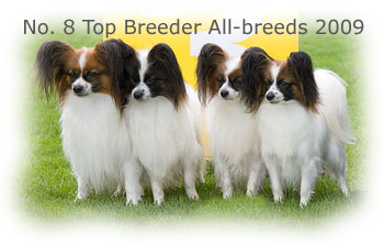 Kennel Caratoots - No 8 Top Breeder All-breeds 2009